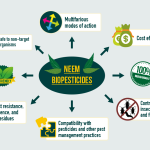 Biopesticide