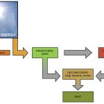 How Cells Obtain Energy?
