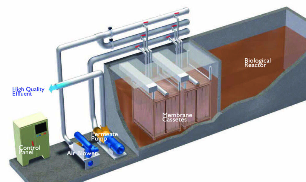 Chemical free cleaning of bioreactor membranes