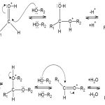 Acetal Formation