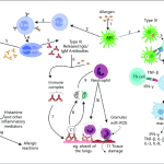 Allergy and hypersensitivity