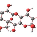 Carbohydrate Molecules