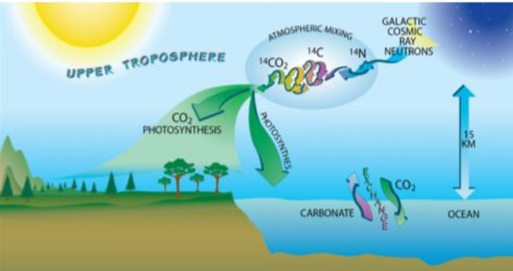 Carbon Dating