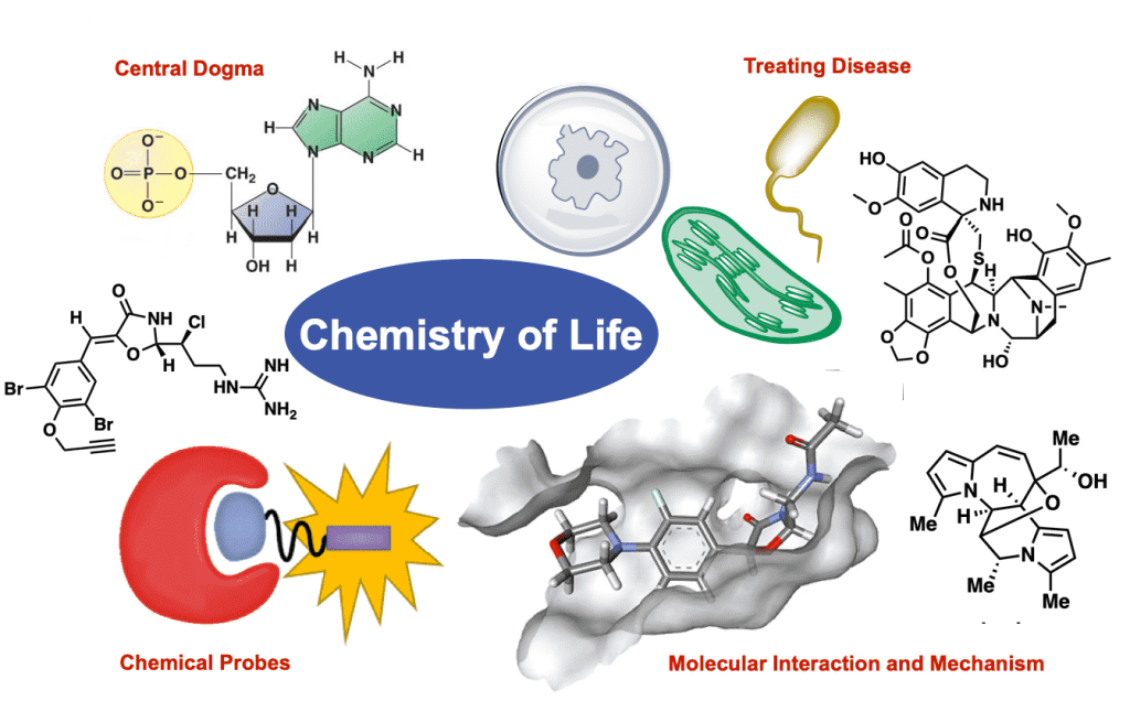 Introduction to the Chemistry of Life