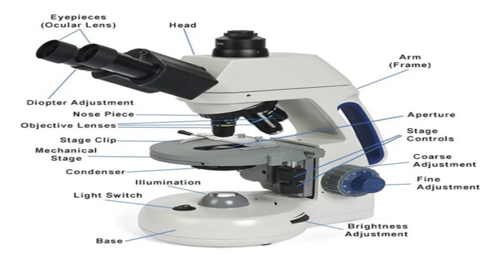 Compound Microscope- Principle, Instrumentation and Applications