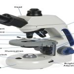 Compound Microscope- Principle, Instrumentation and Applications