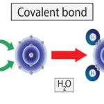 Covalent Bond