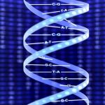 DNA Double-Helical Structure