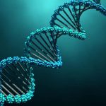 Structure of DNA