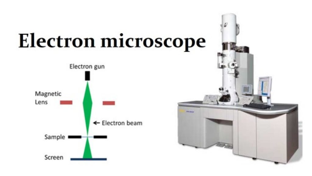 Electron Microscope- Principle, Types, Components, Applications, Advantages, Limitations