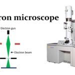 Electron Microscope- Principle, Types, Components, Applications, Advantages, Limitations