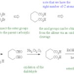 Ester Enolates