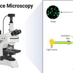 Fluorescence Microscope- Principle, Instrumentation, Applications, Advantages, Limitations