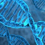 GENOMES
