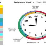 Geological Time Chart