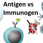 Immunogen, Antigen, Hapten, Epitope, and Adjuvant