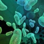 Industrial Microorganisms