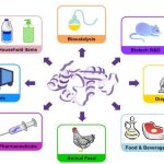 Industrial enzymes