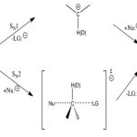 Kinetic Isotope Effects
