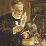 10 MAJOR CONTRIBUTIONS OF LOUIS PASTEUR