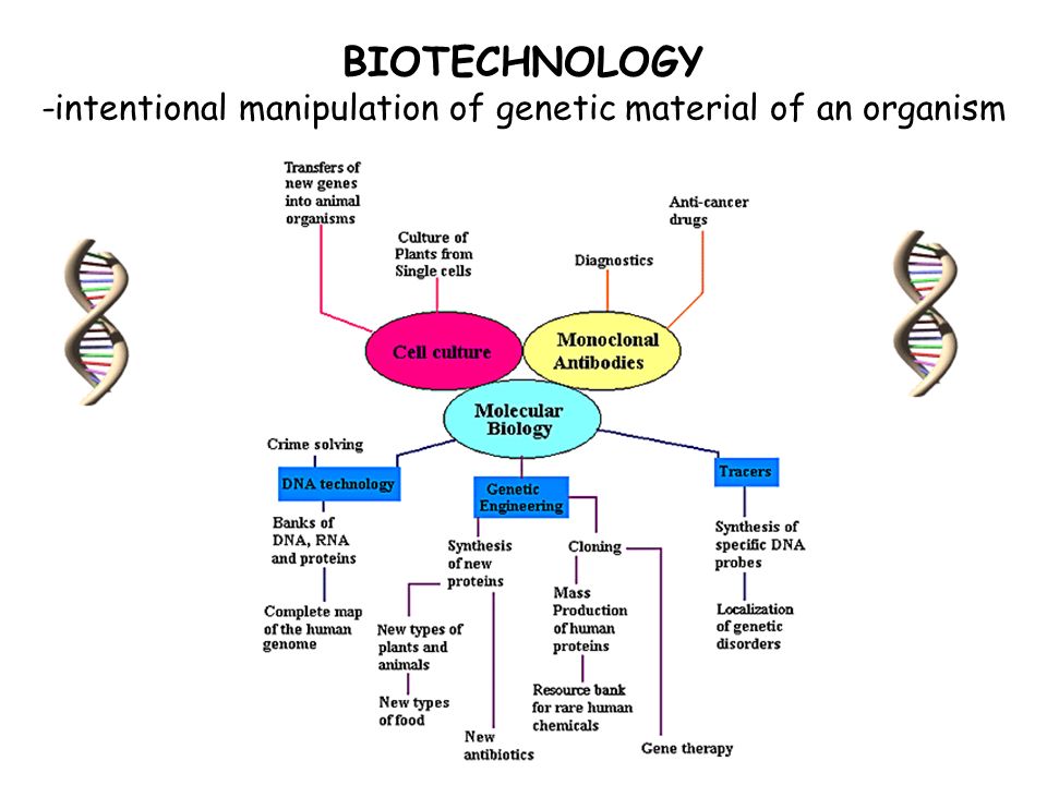 Manipulating Genetic Material