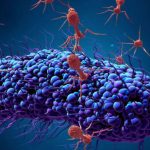 Microorganisms: An introduction