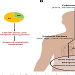 Nutrients of Human Metabolism