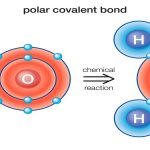 Polar Covalent Bonds