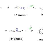 Reaction with Primary Amines to form Imines