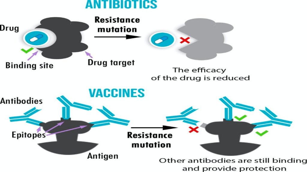 Production of Vaccines, Antibiotics, and Hormones