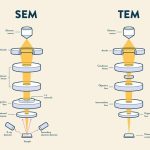 SEM and TEM: what’s the difference?