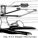 Simple Microscope- Principle, Instrumentation and Applications