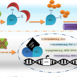 Tumor Immunology Pathway