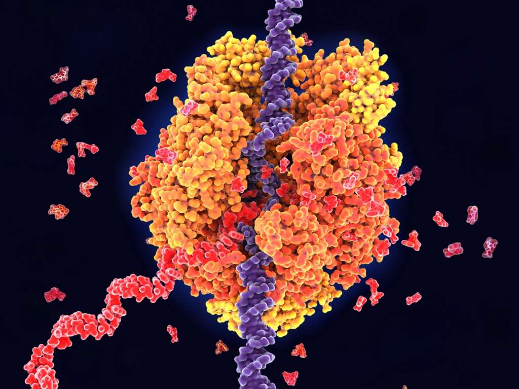 Engineers devise a way to selectively turn on RNA therapies in human cells