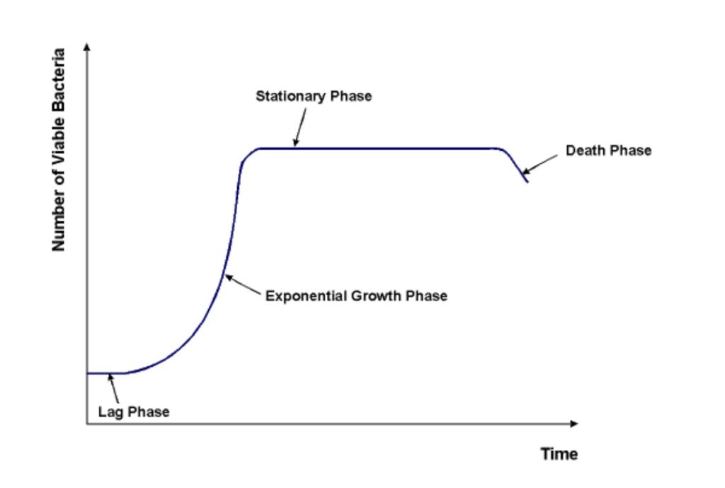 Bacterial Growth Curves using a Spectrophotometer