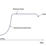 Bacterial Growth Curves using a Spectrophotometer