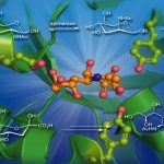 Introduction to biocatalysis