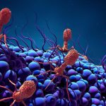 Microorganisms Defined
