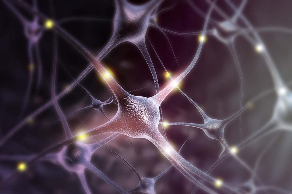 How Neurons Communicate ?