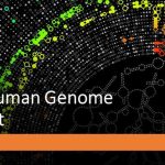 The Human Genome Project: Its Impact on Modern Medicine