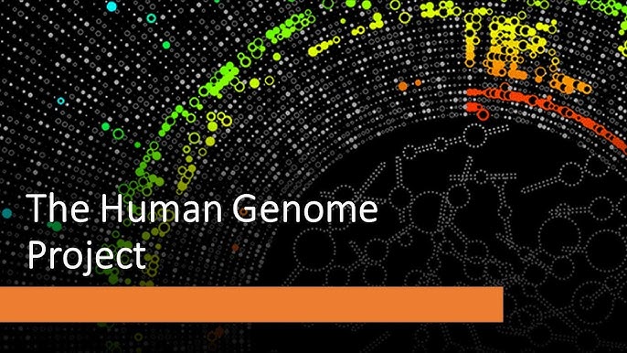 The Human Genome Project: Its Impact on Modern Medicine