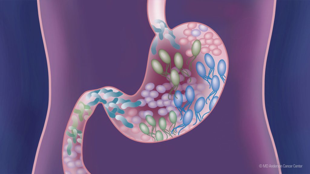 🦠 Why Are Some Bacteria Good for You? The Hidden Heroes of Health 🌱