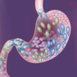 🦠 Why Are Some Bacteria Good for You? The Hidden Heroes of Health 🌱